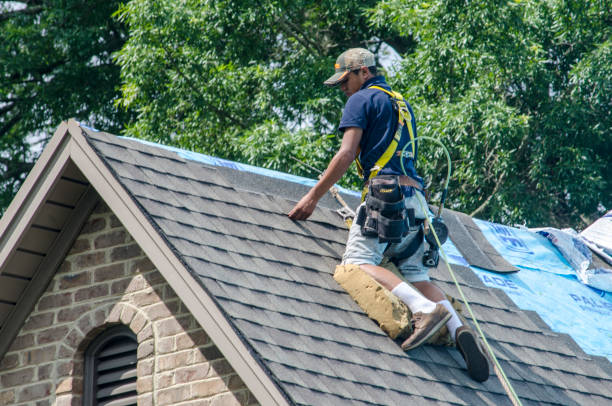 Roof Gutter Cleaning in Frazier Park, CA
